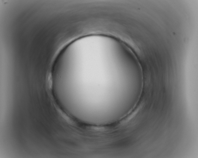 X0000113171509200909111024