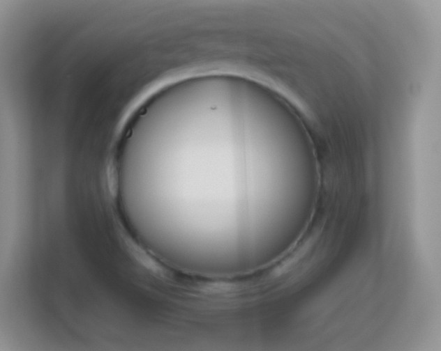 X0000113171510200909111024