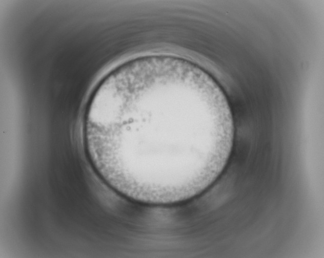 X0000113171514200909111024