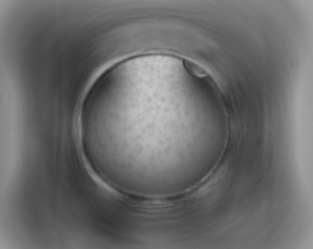 X0000113171515200909111024