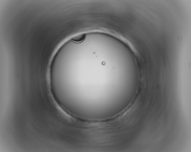 X0000113171516200909111024