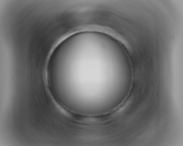 X0000113171517200909111024