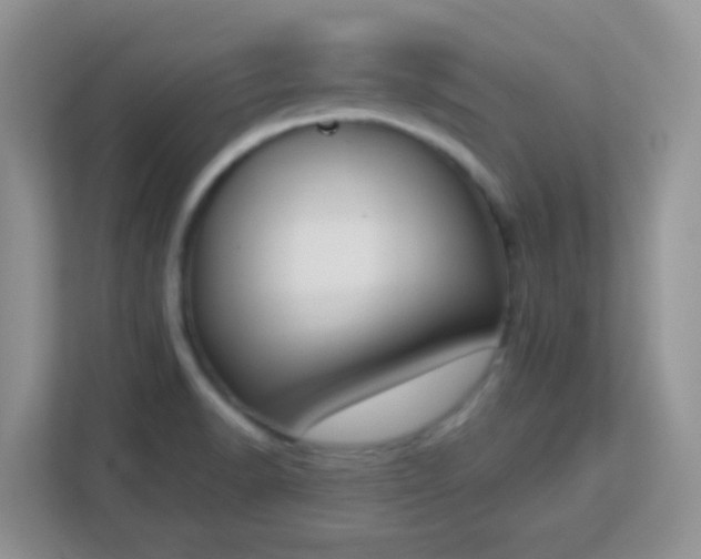X0000113171518200909111024