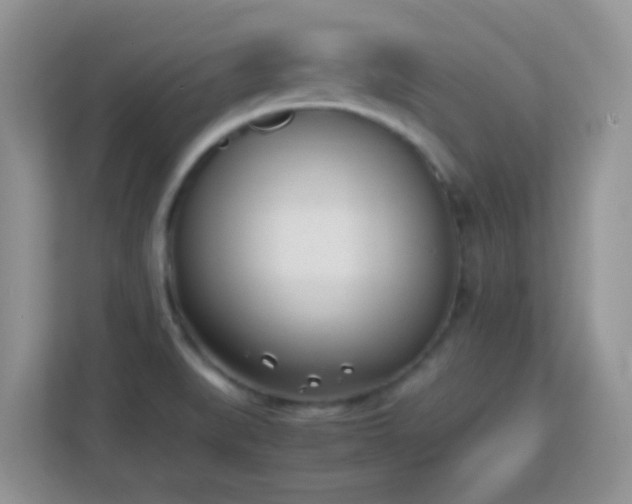 X0000113171519200909111024