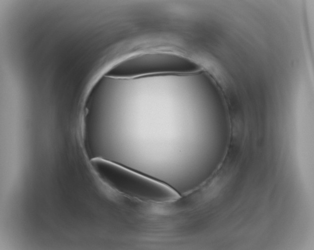 X0000113171520200909111024