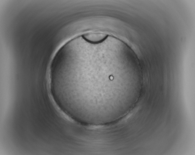 X0000113171522200909111024