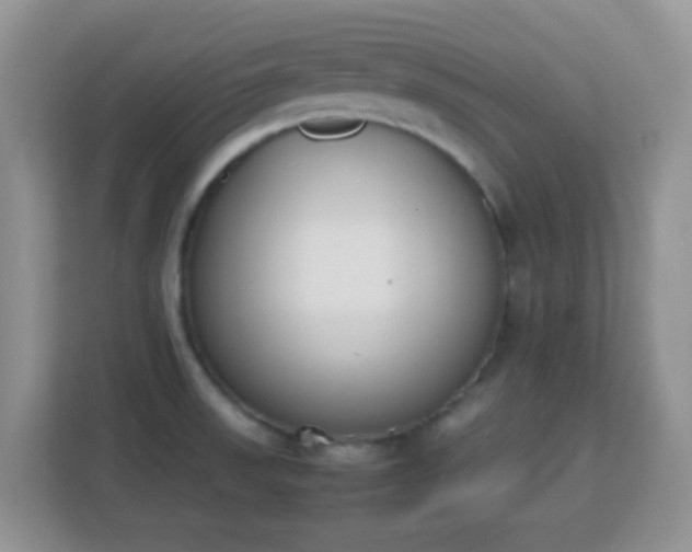X0000113171523200909111024
