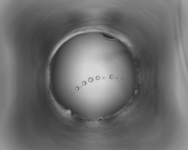 X0000113171524200909111024