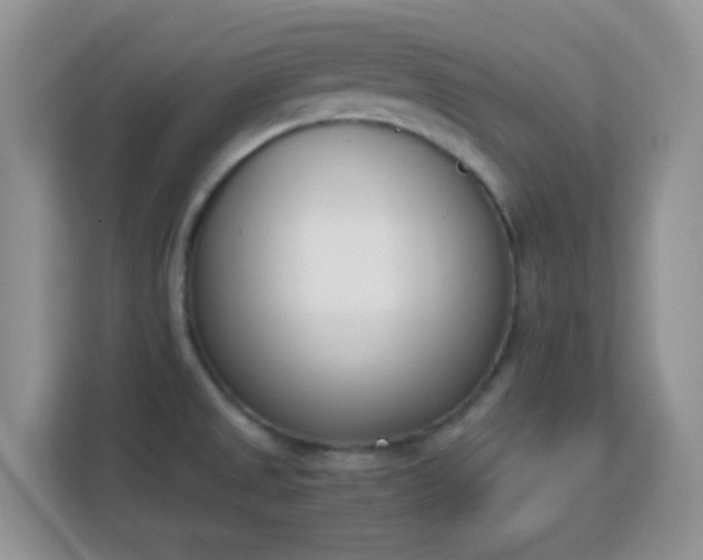 X0000113171525200909111024