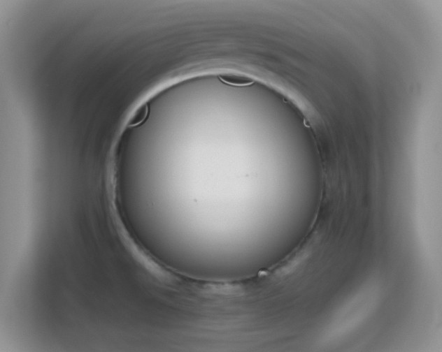 X0000113171526200909111024