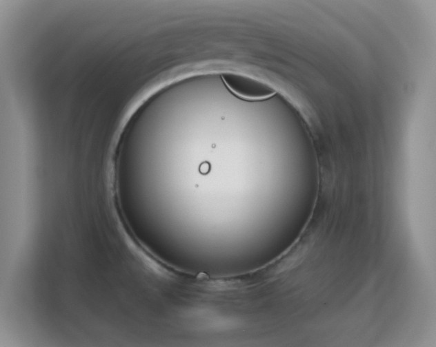 X0000113171527200909111024