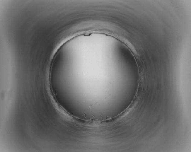X0000113171530200909111024