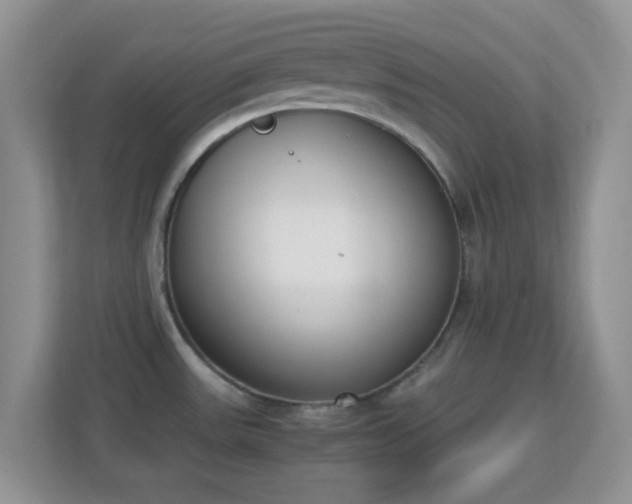 X0000113171531200909111024