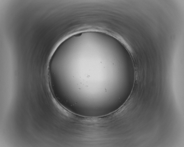X0000113171532200909111024