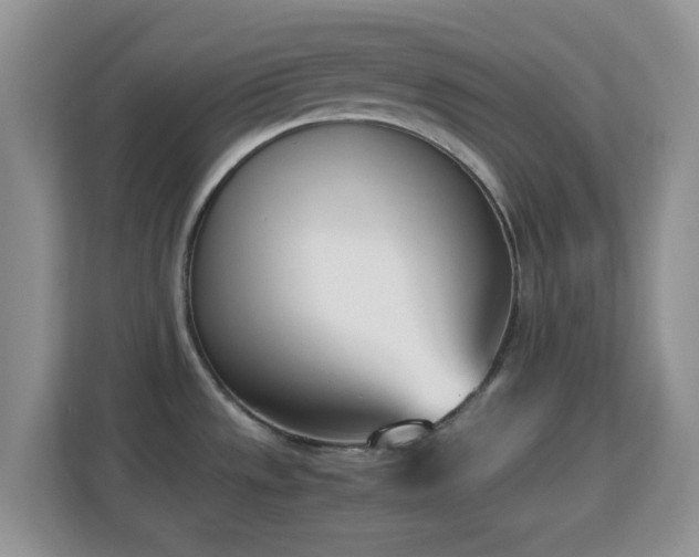 X0000113171533200909111024