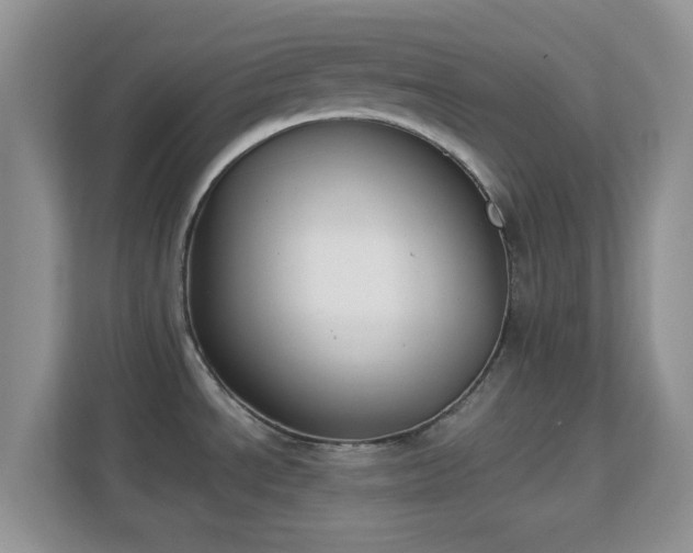 X0000113171534200909111024