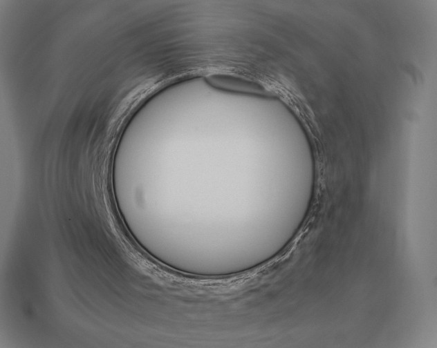 X0000113170001200909181841