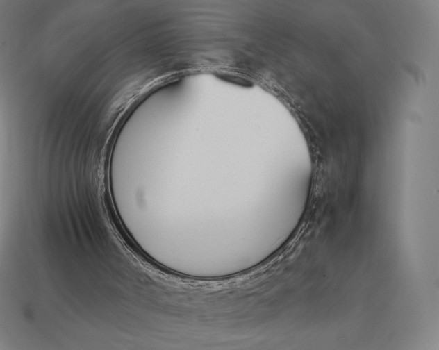 X0000113170002200909181841