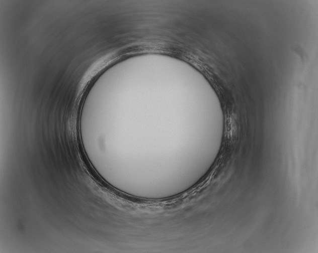 X0000113170004200909181841