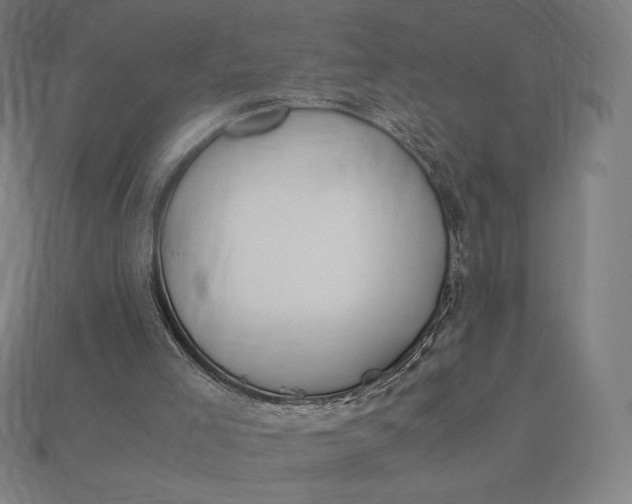 X0000113170005200909181841