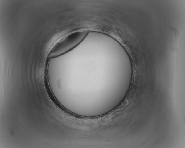 X0000113170007200909181841