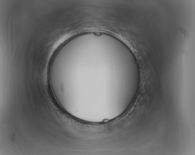 X0000113170008200909181841