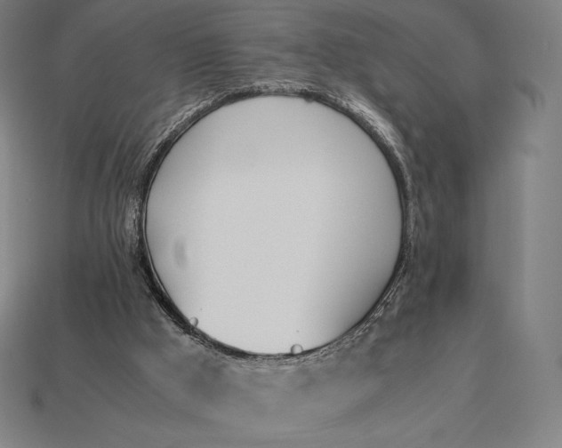 X0000113170009200909181841