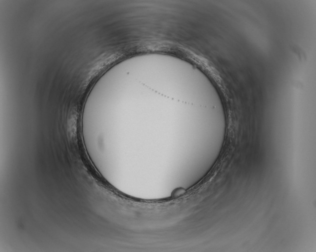 X0000113170010200909181841