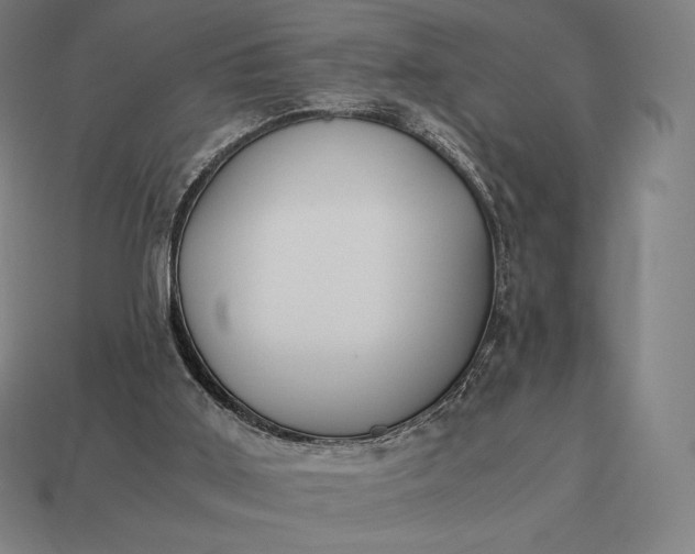 X0000113170011200909181841