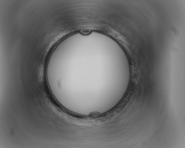 X0000113170012200909181841