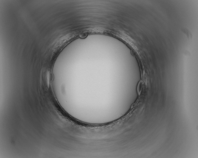 X0000113170013200909181841