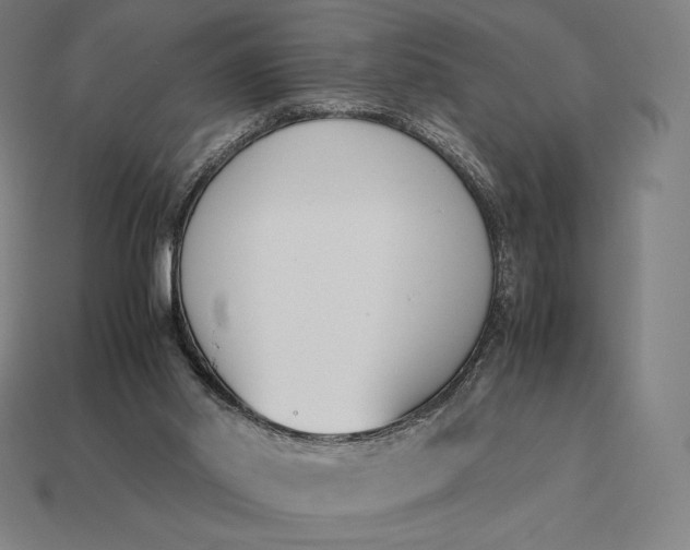 X0000113170014200909181841