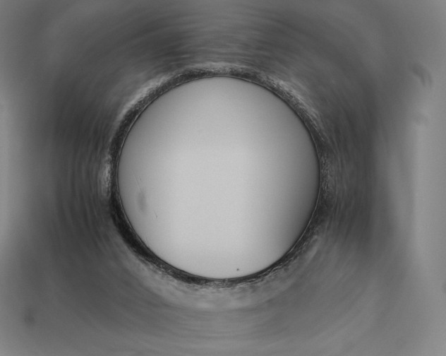 X0000113170016200909181841