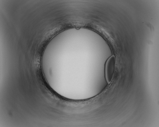 X0000113170017200909181841