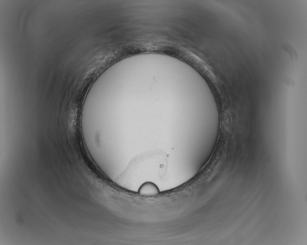 X0000113170018200909181841