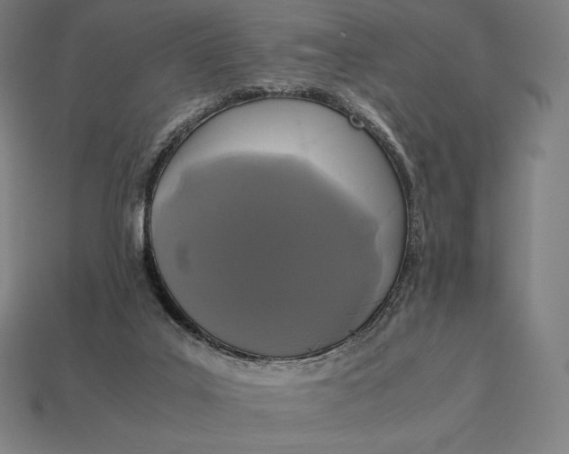 X0000113170019200909181841