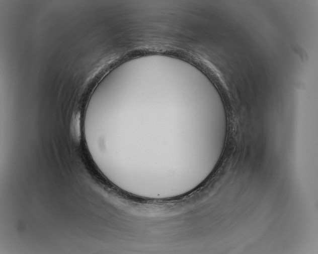 X0000113170020200909181841