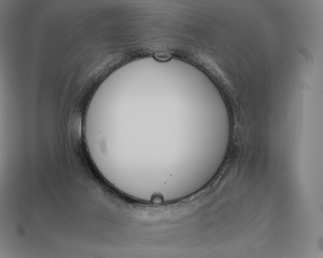 X0000113170021200909181841