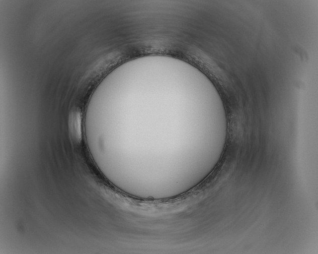 X0000113170022200909181841