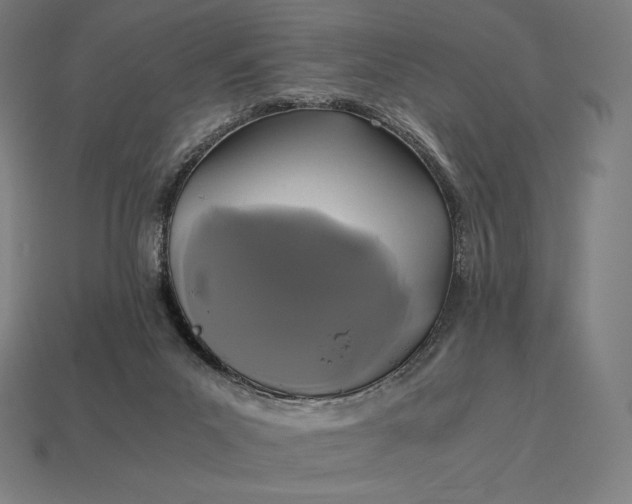 X0000113170023200909181841