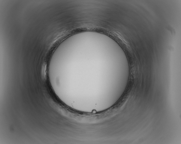 X0000113170024200909181841