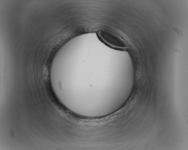 X0000113170025200909181841