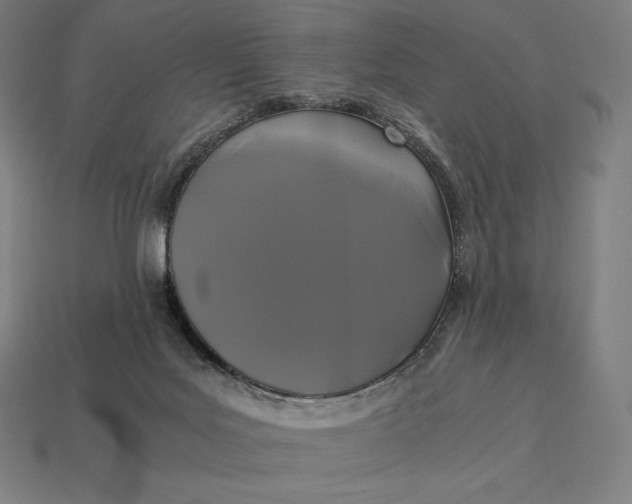 X0000113170027200909181841