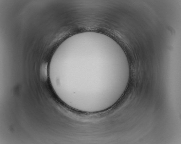 X0000113170028200909181841