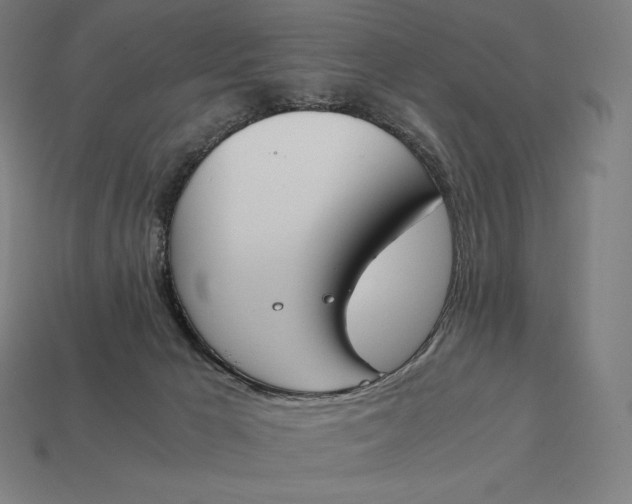 X0000113170029200909181841