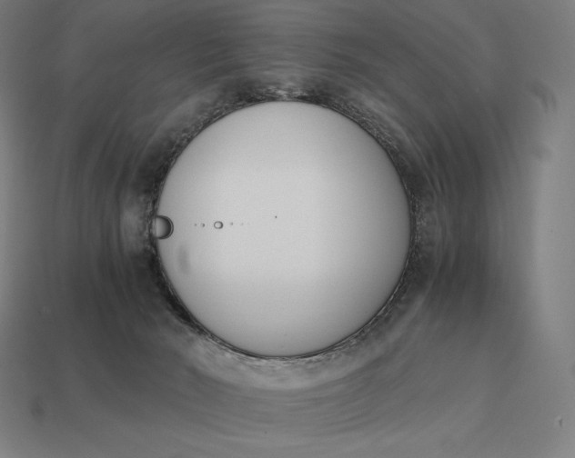 X0000113170030200909181841