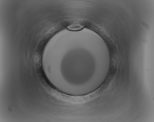 X0000113170031200909181841