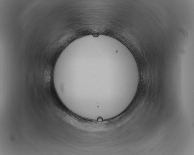 X0000113170032200909181841