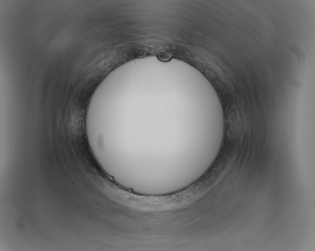 X0000113170034200909181841