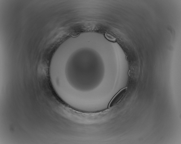 X0000113170035200909181841